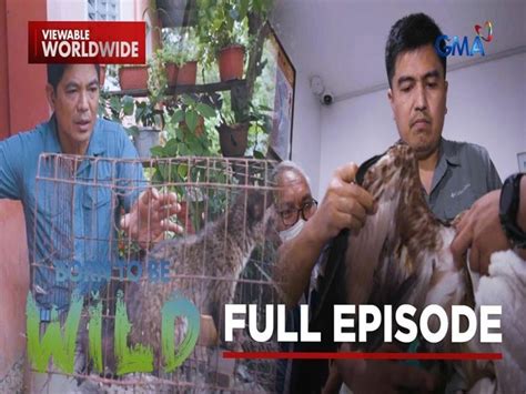 Born to be Wild: Rehabilitation of seized animals .